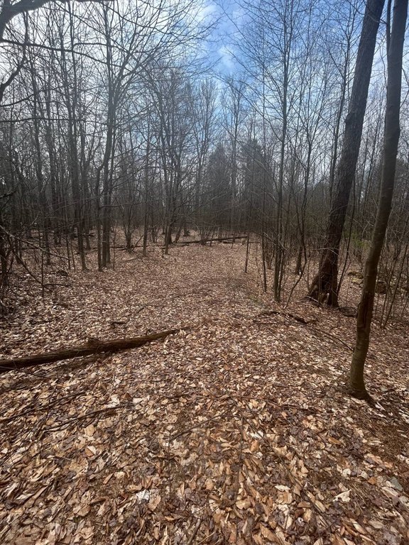 Picture 8