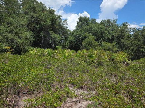 Oversized Residential Homesite Lot