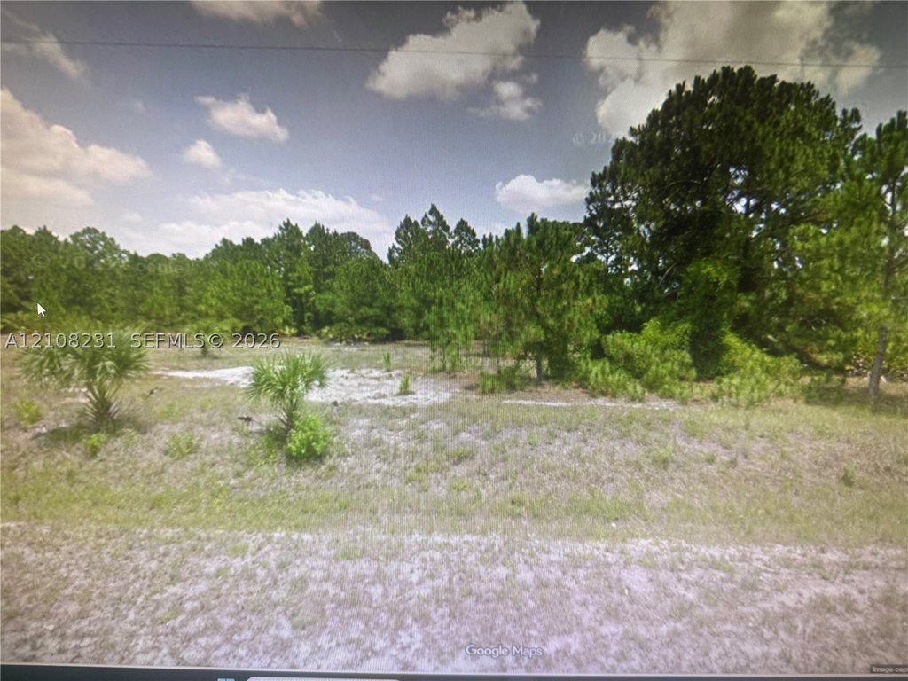 Picture 3
