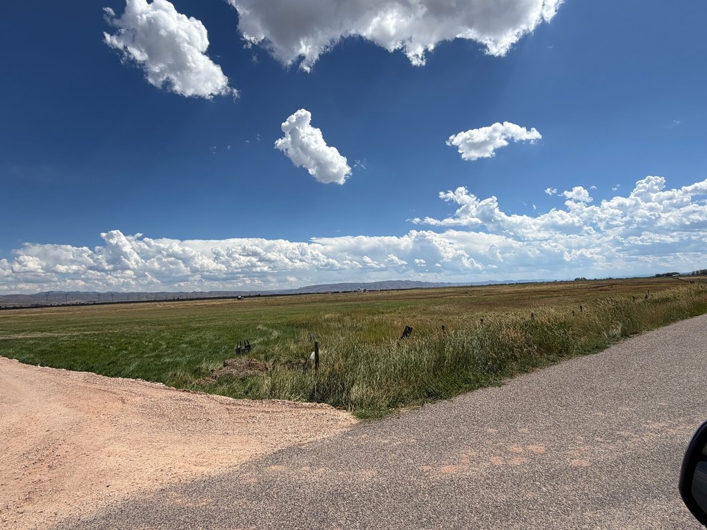 Picture 36