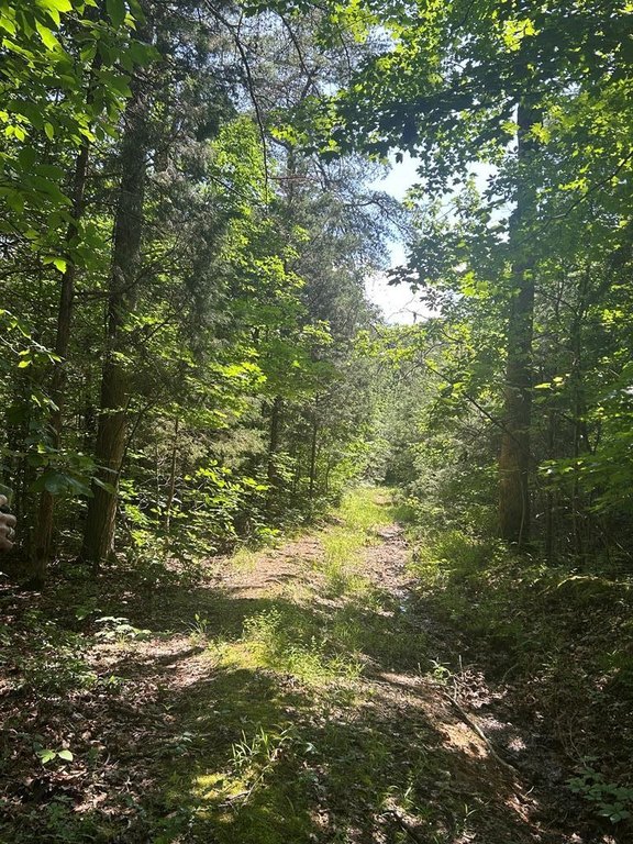 Picture 4