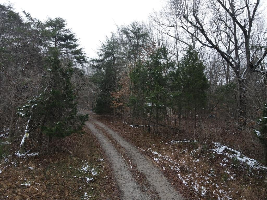 Picture 5
