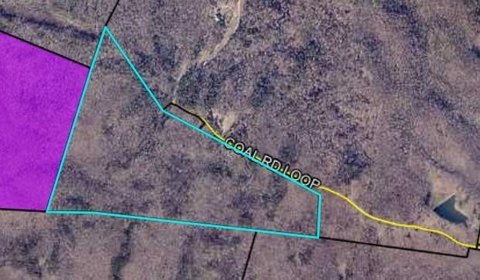 Wooded Hunting Land with Cabin