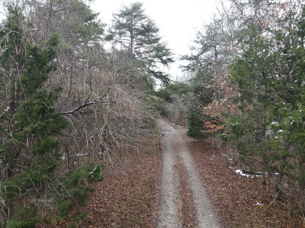 Picture 8
