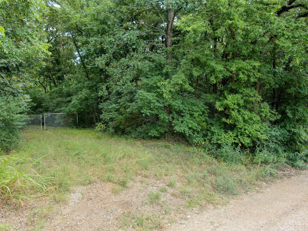 Picture 6