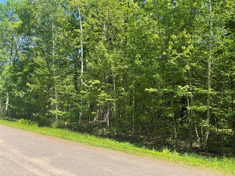 Rice Lake Vacant Lot