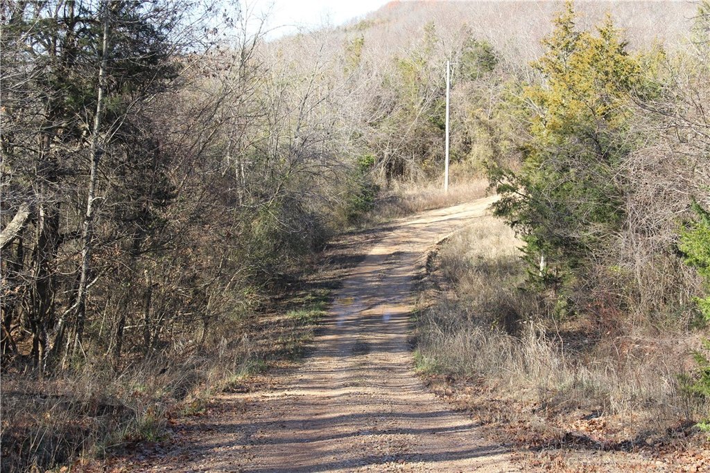 Picture 48