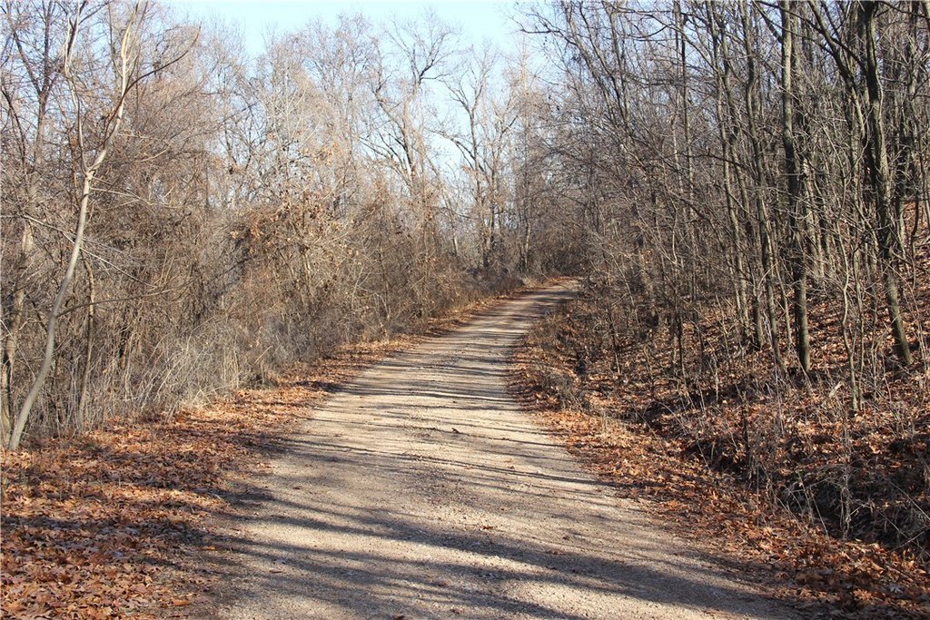 Picture 18
