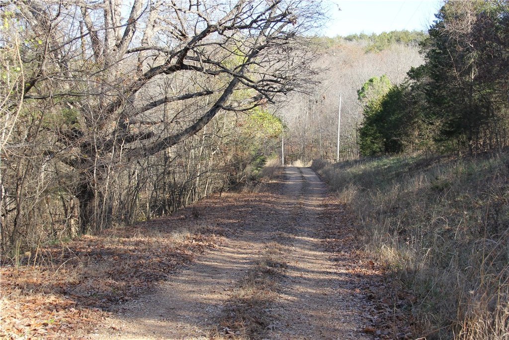 Picture 45