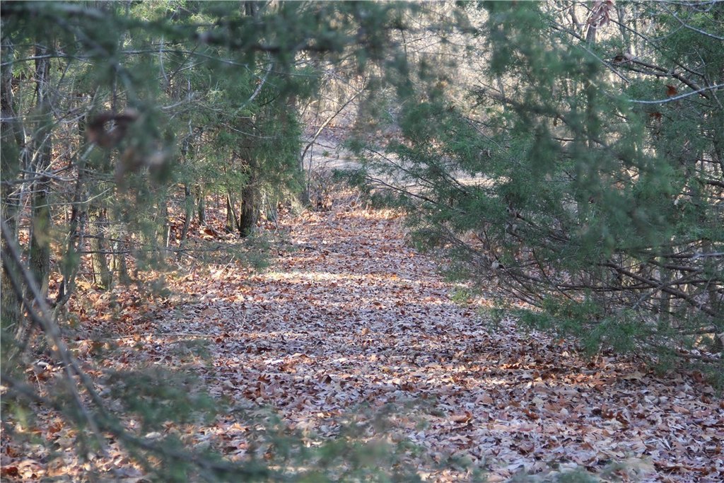 Picture 32