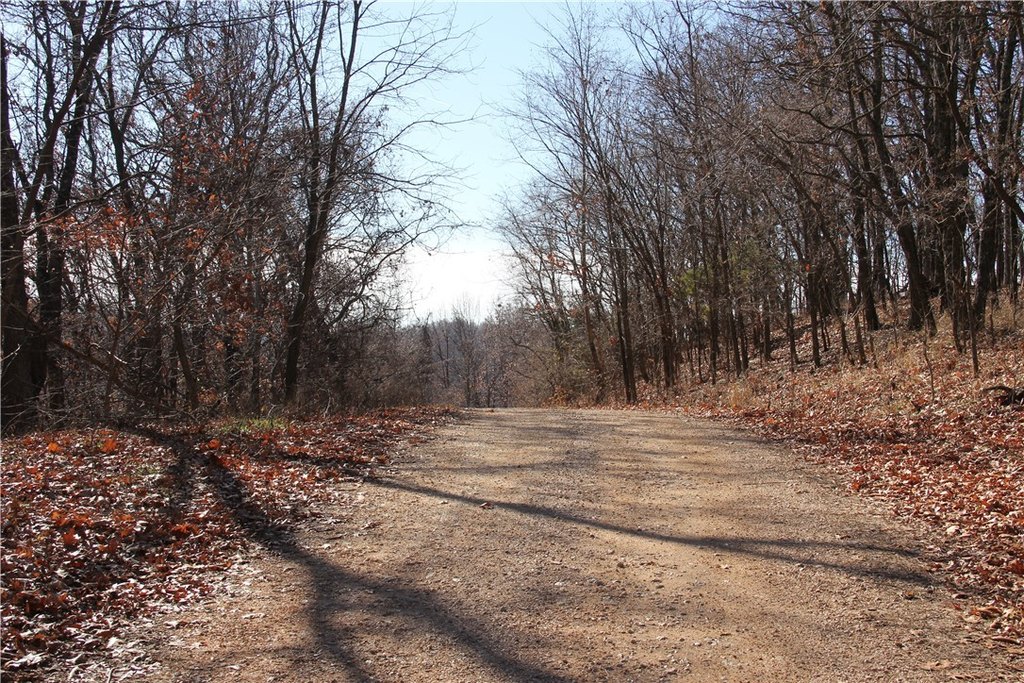Picture 19