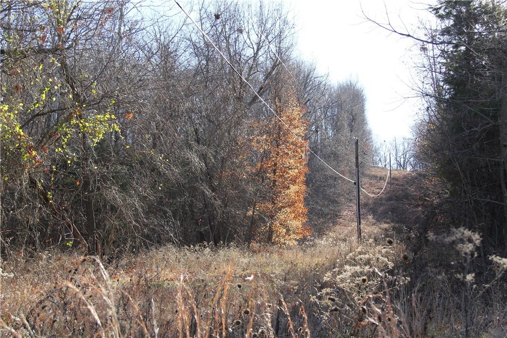 Picture 41