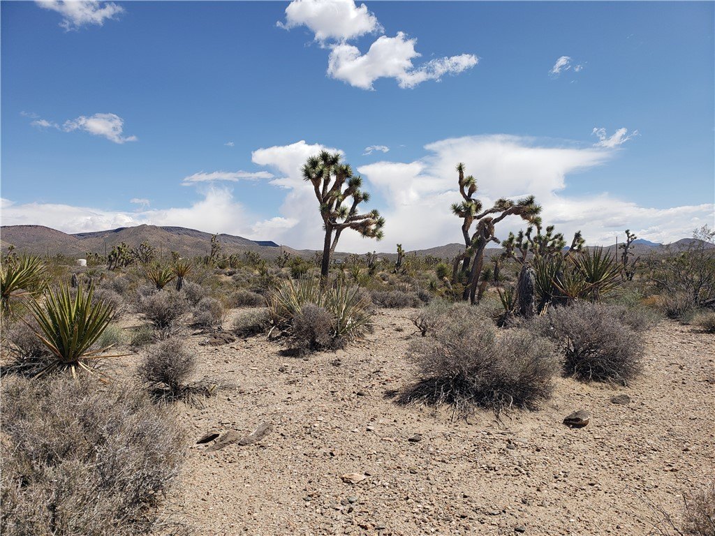 Land in White Hills, Arizona