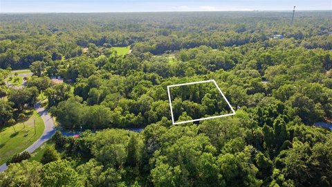 Land, CRYSTAL RIVER, FL
