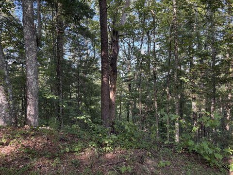 Land, Walland, TN