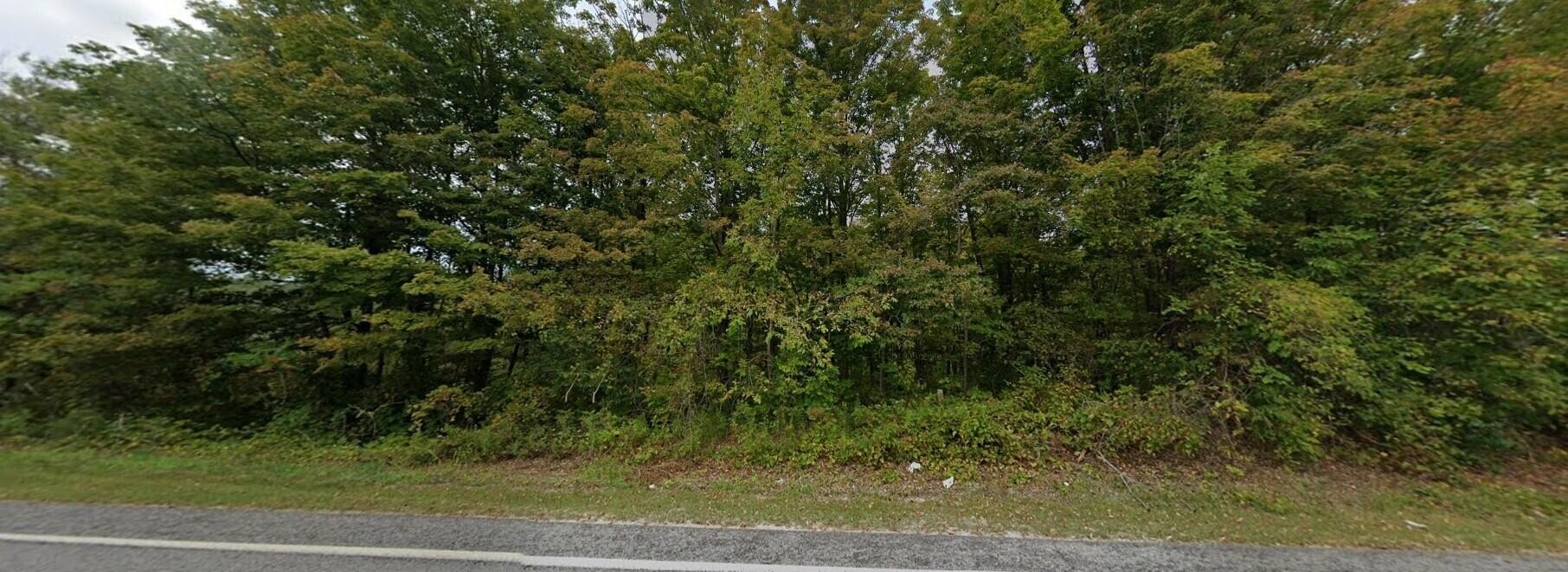 2.66 Acres Wooded Parcel