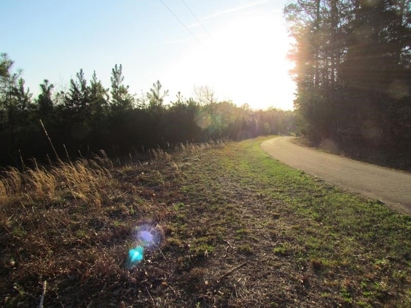 Picture 9