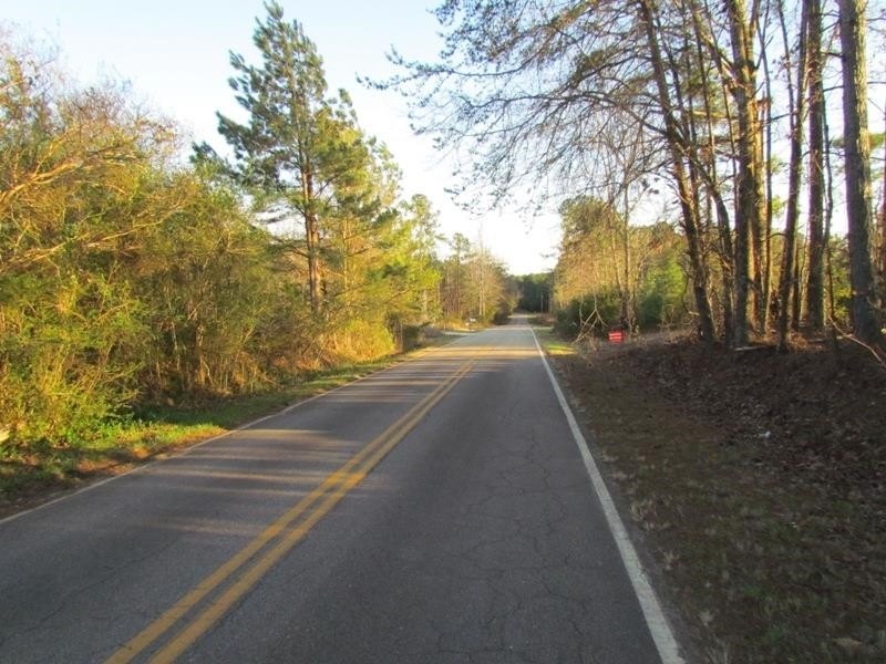 Picture 13