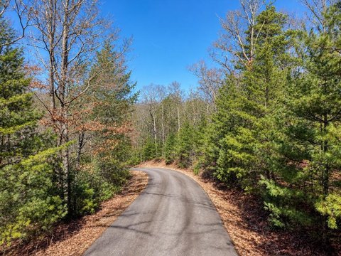 Vacant Lot, Morganton, GA