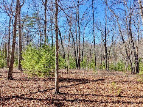 Residential Land Lot in Gated Community