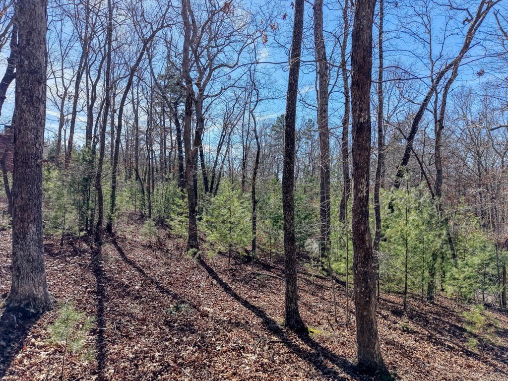 Picture 8