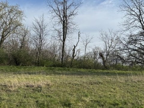 Partially Wooded Lot in Roscoe