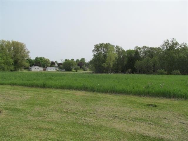 Picture 3