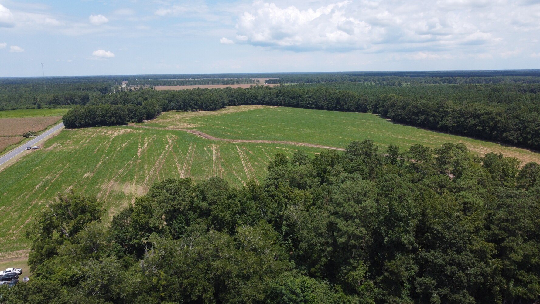 65 Acres Farmland and Timber
