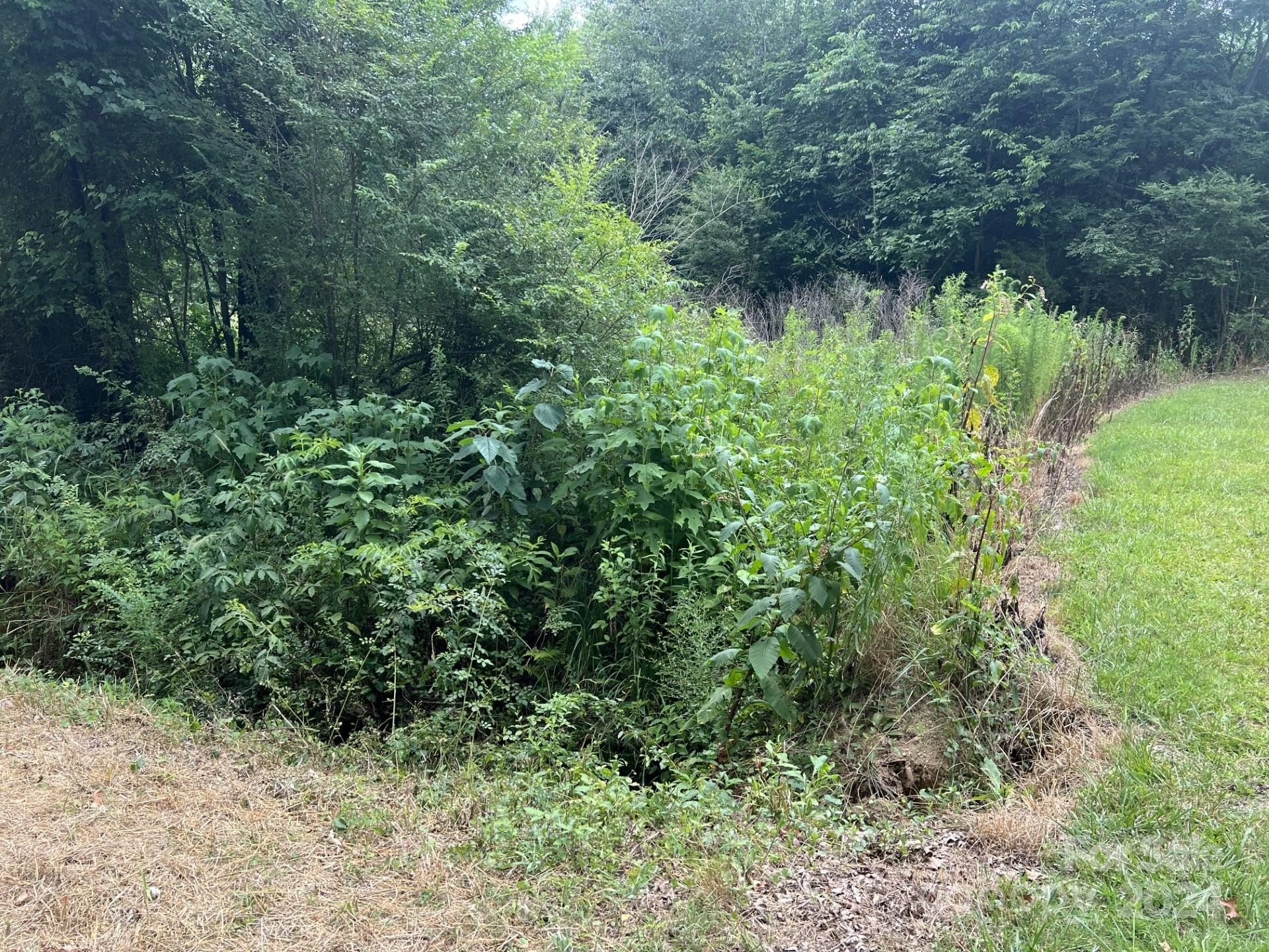Norwood Land Suitable for Agriculture