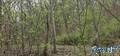 Land, ATTALLA, AL