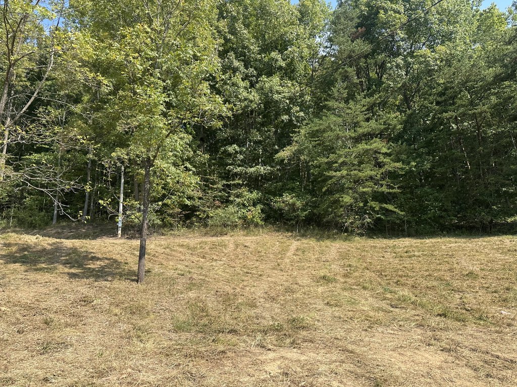 Picture 20