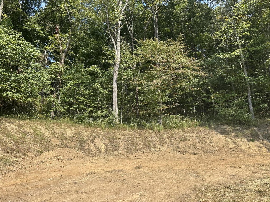 Picture 17