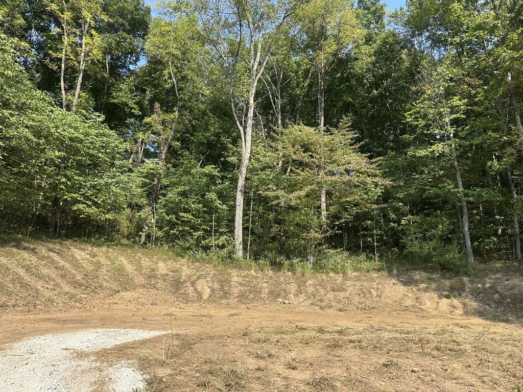 Picture 18