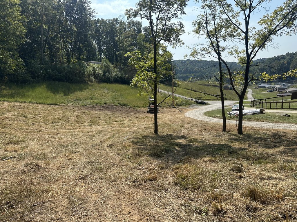 Picture 6
