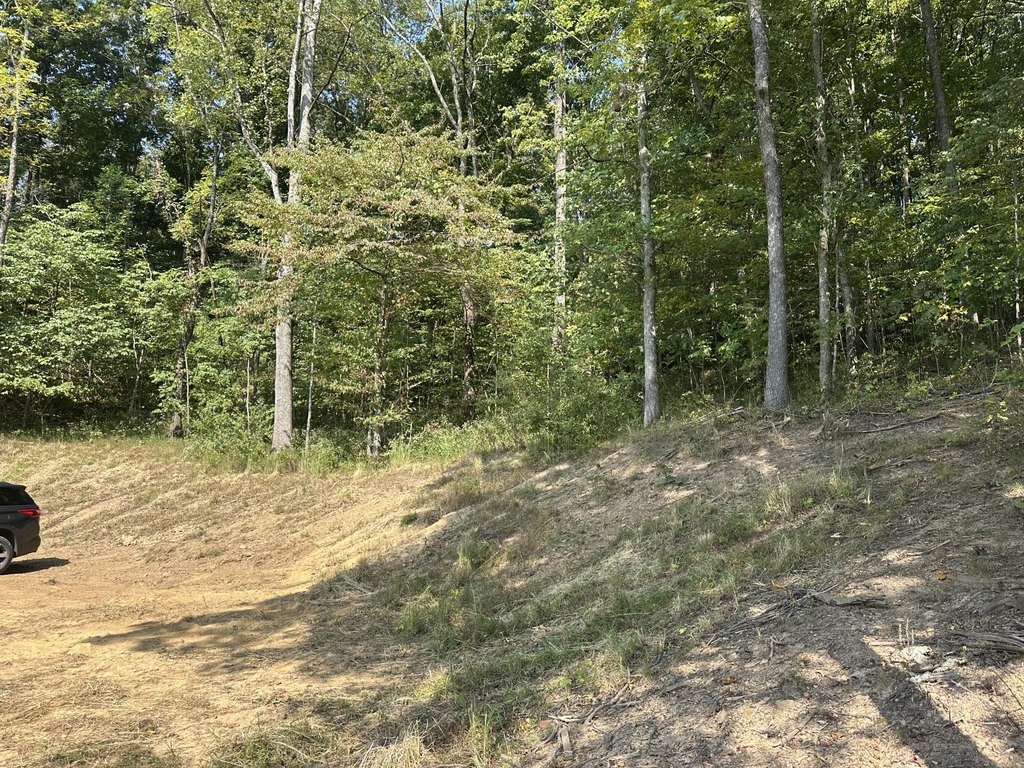 Picture 16