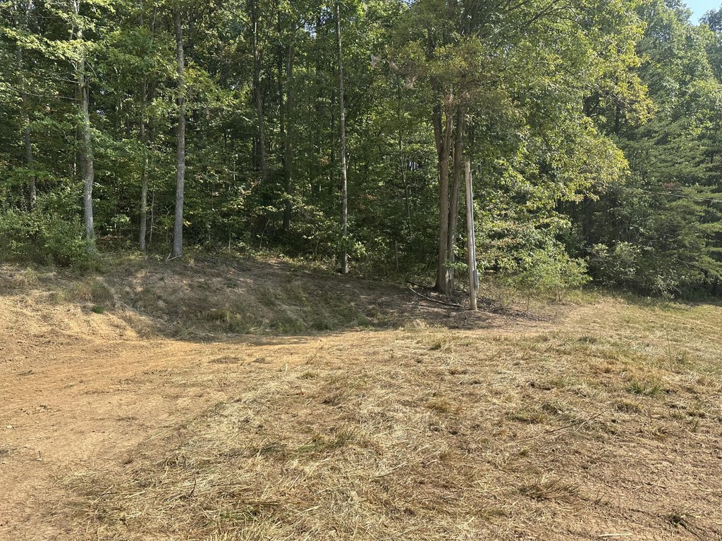 Picture 22