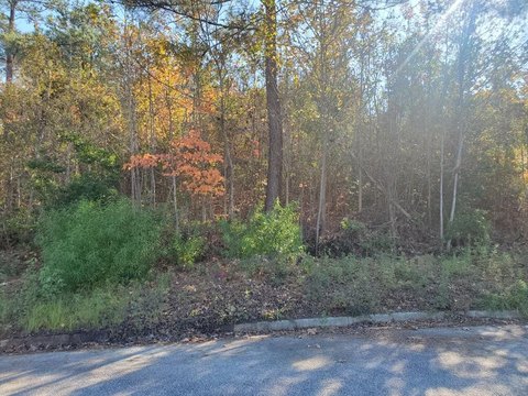 Residential Land in West Augusta