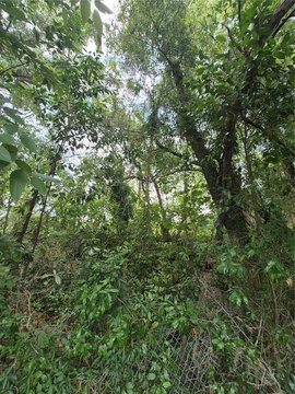 No-HOA Homesite in Exclusive Enclave