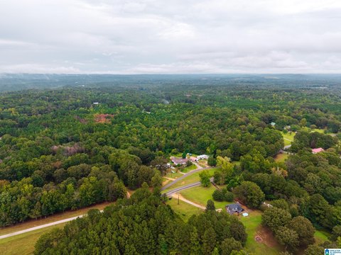 LAND/LOTS, PELL CITY, AL