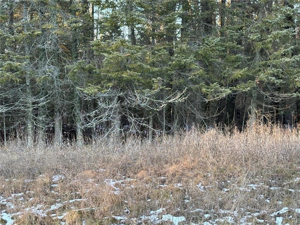 Wooded Acreage Near Longville Lakes