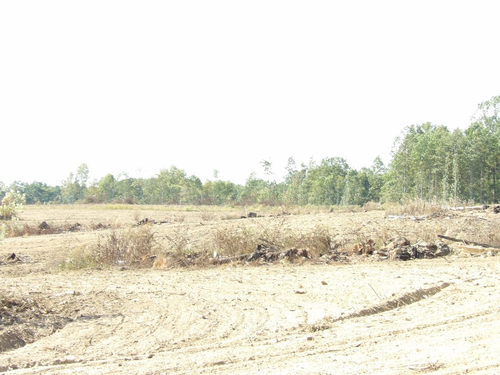 Picture 11