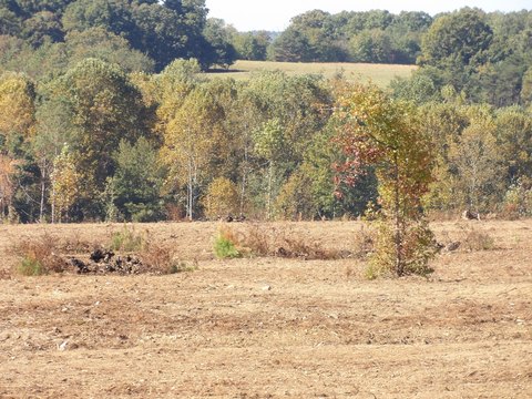 Land, Evensville, TN