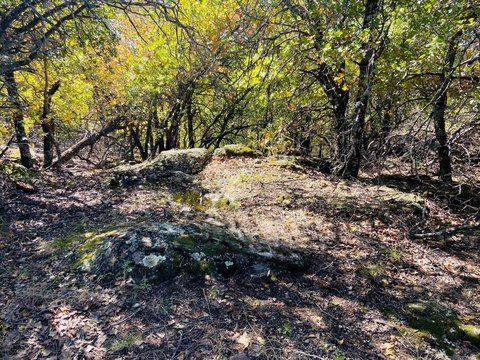 Land, Bowie, TX