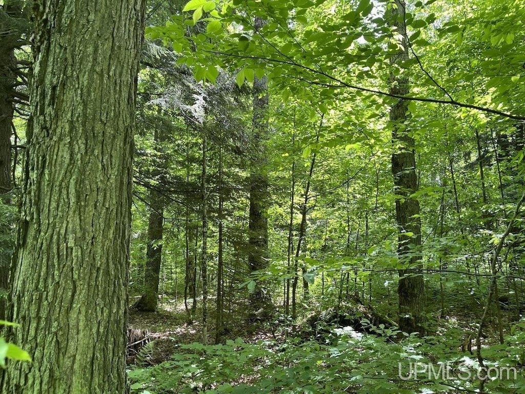 Picture 30