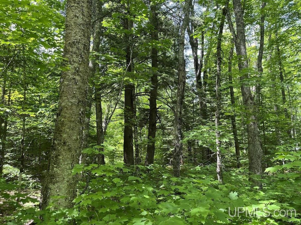 Picture 31