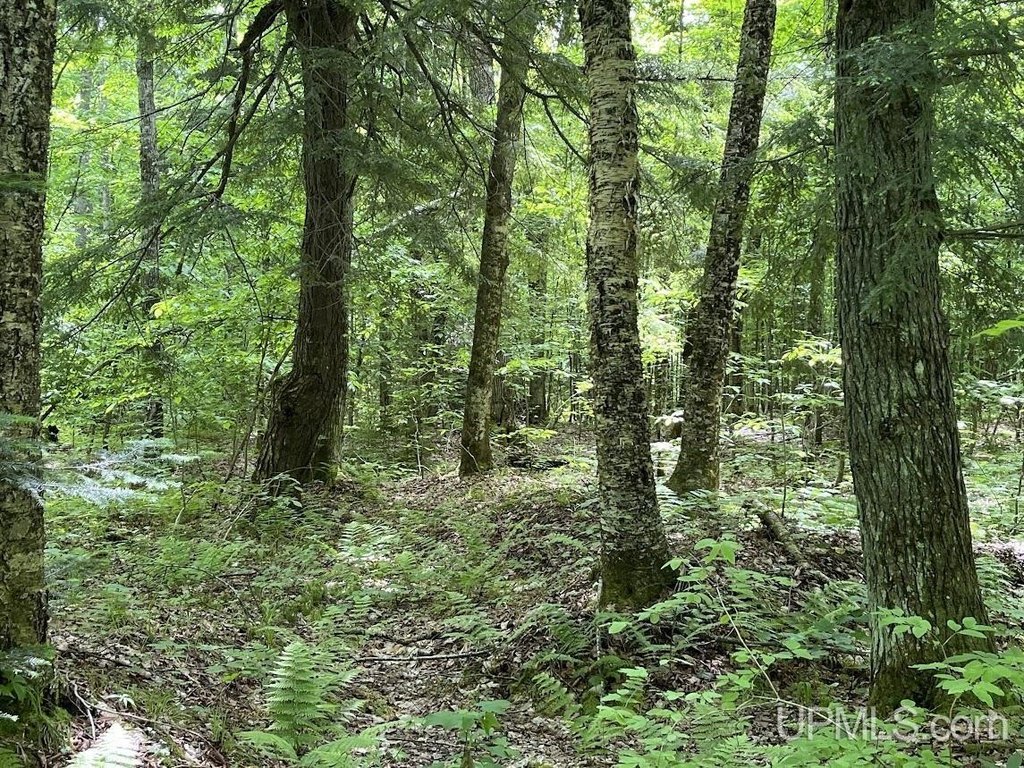 Picture 38