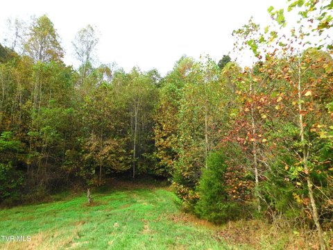Land, Jonesville, VA