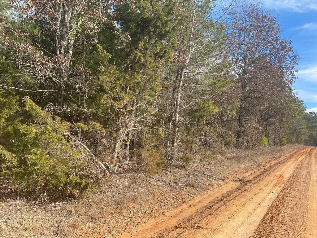 Picture 6