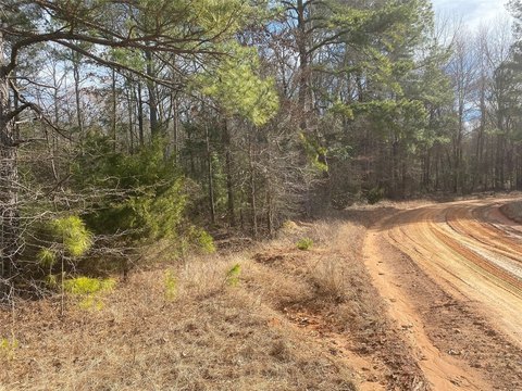 Hunting Land with Creek