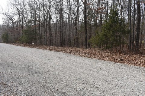 Wooded Lot Near Lake Norfork